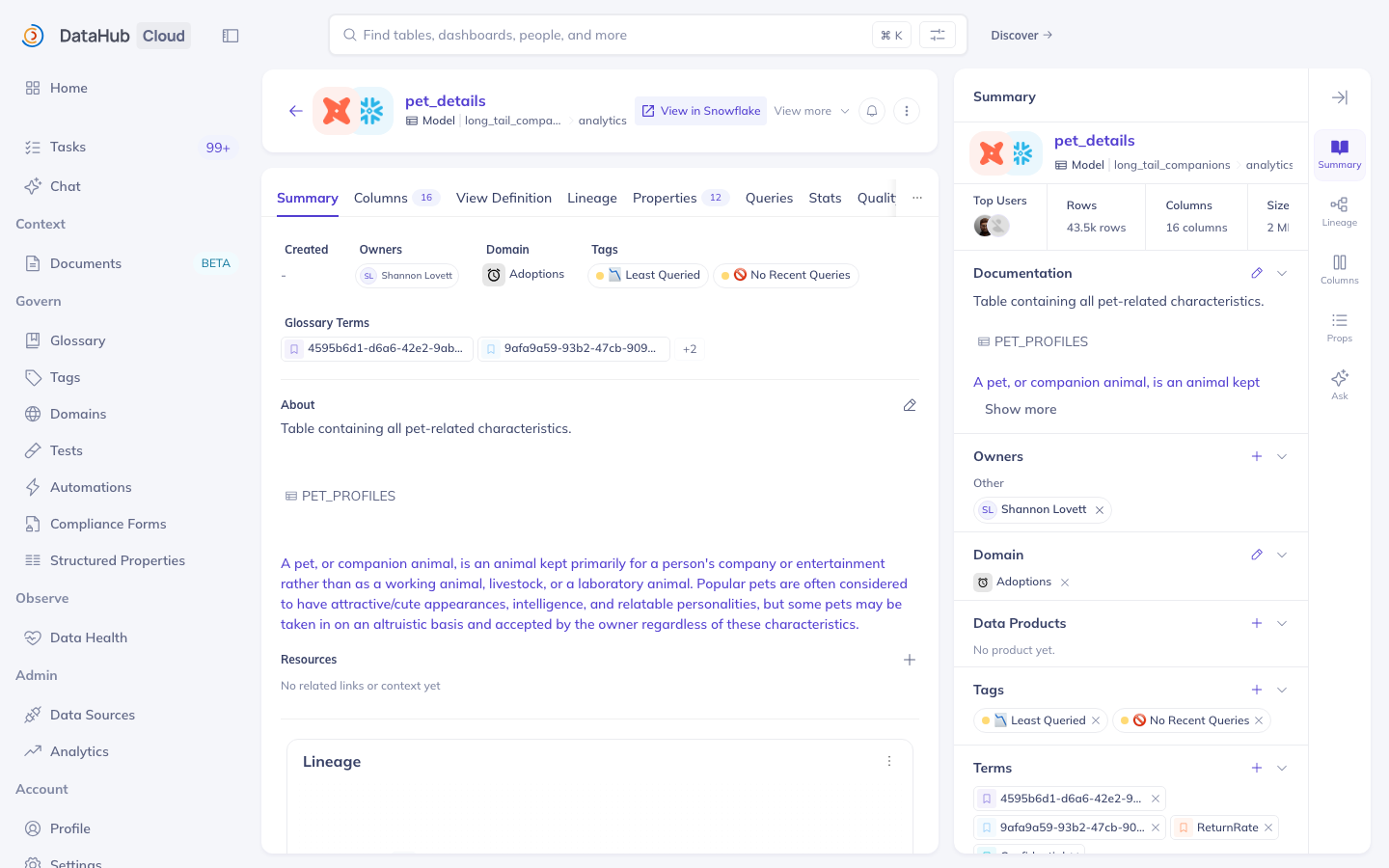 A dataset entity page: name and platform header, tab row (Summary, Columns, View Definition, Lineage, Properties, Queries, Stats, Quality), created/owners/domain/tags strip, description, and the right-hand summary sidebar with documentation, owners, domain, tags, and glossary terms